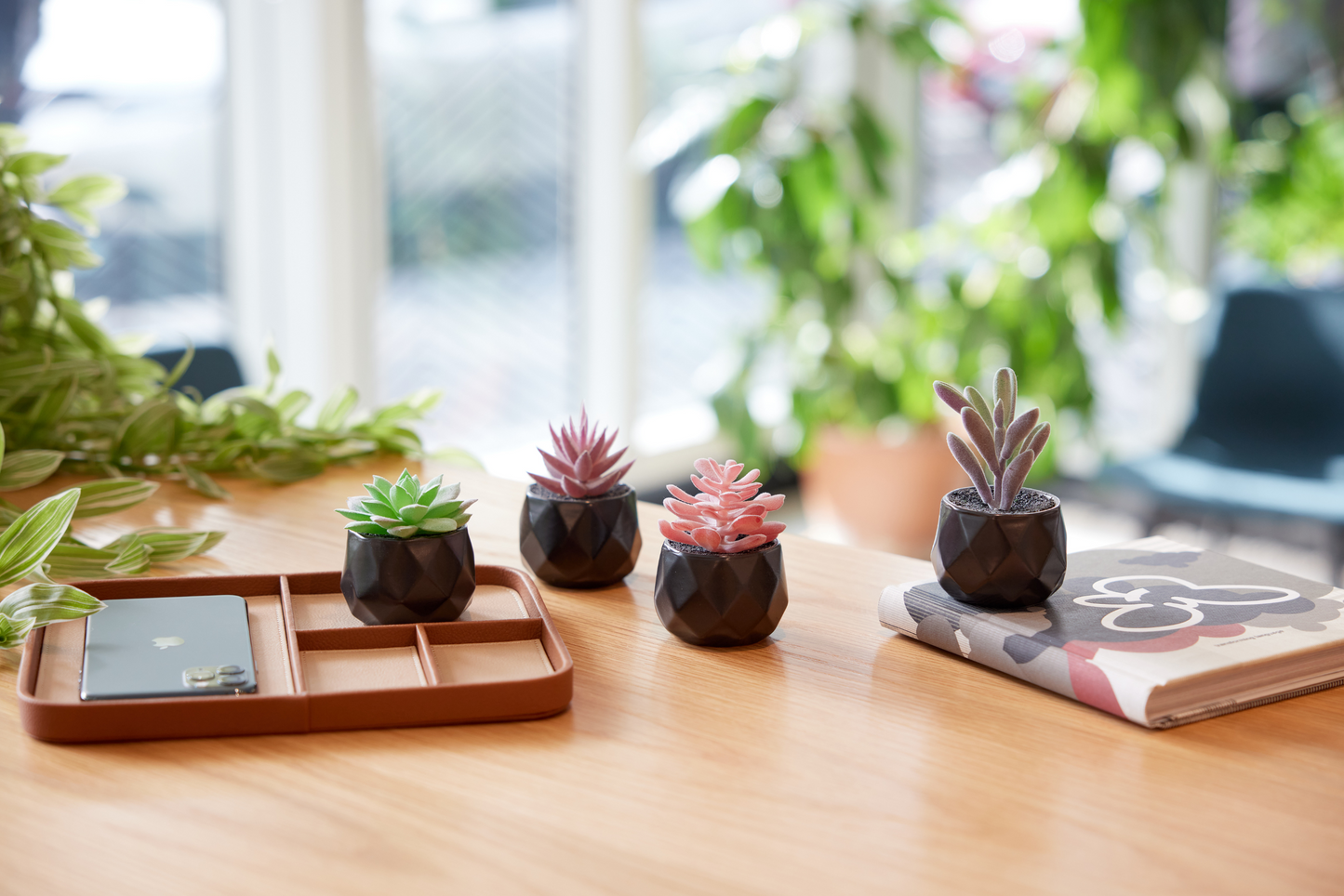 Desk Plants - Geometric Matte Black Pots