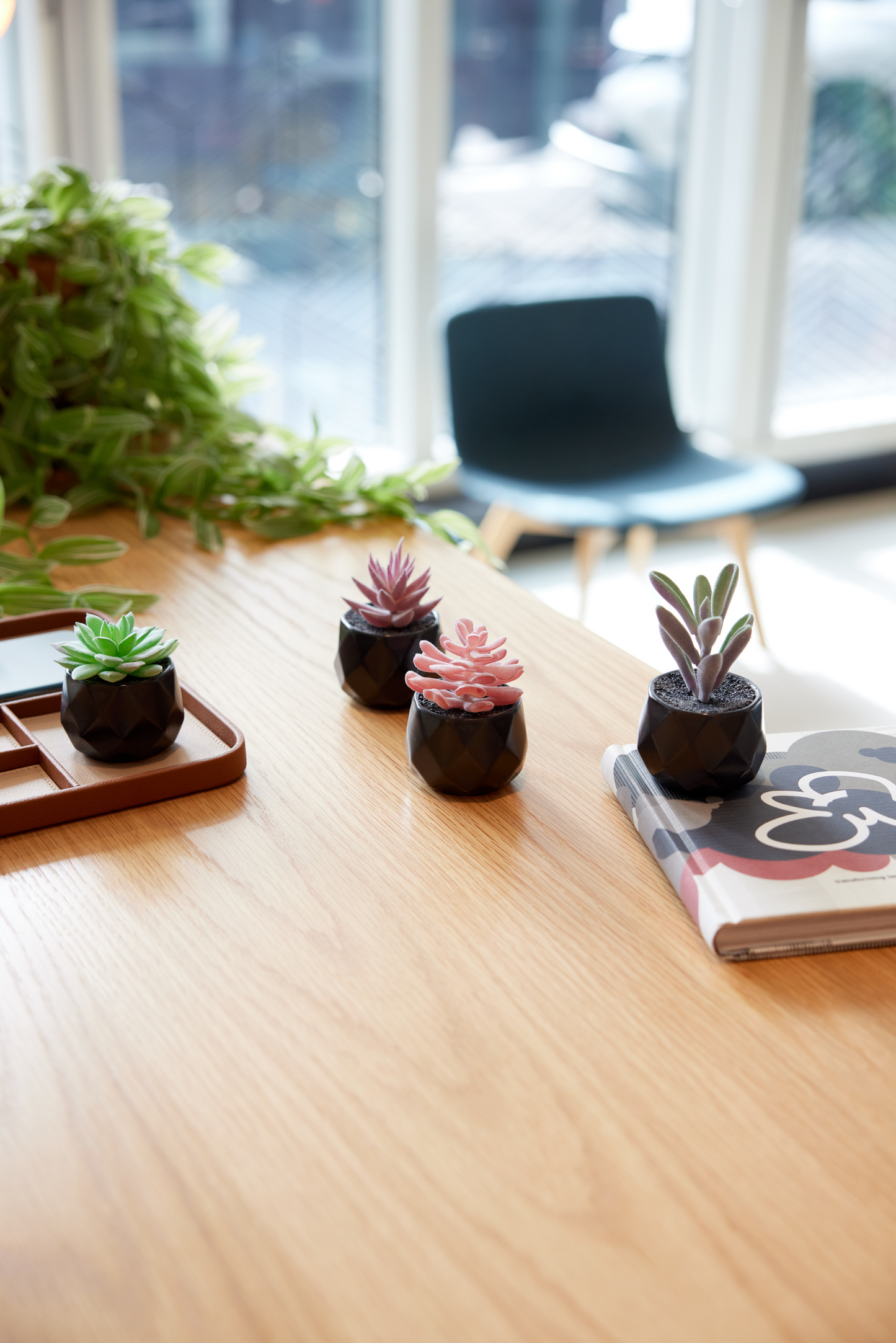 Desk Plants - Geometric Matte Black Pots