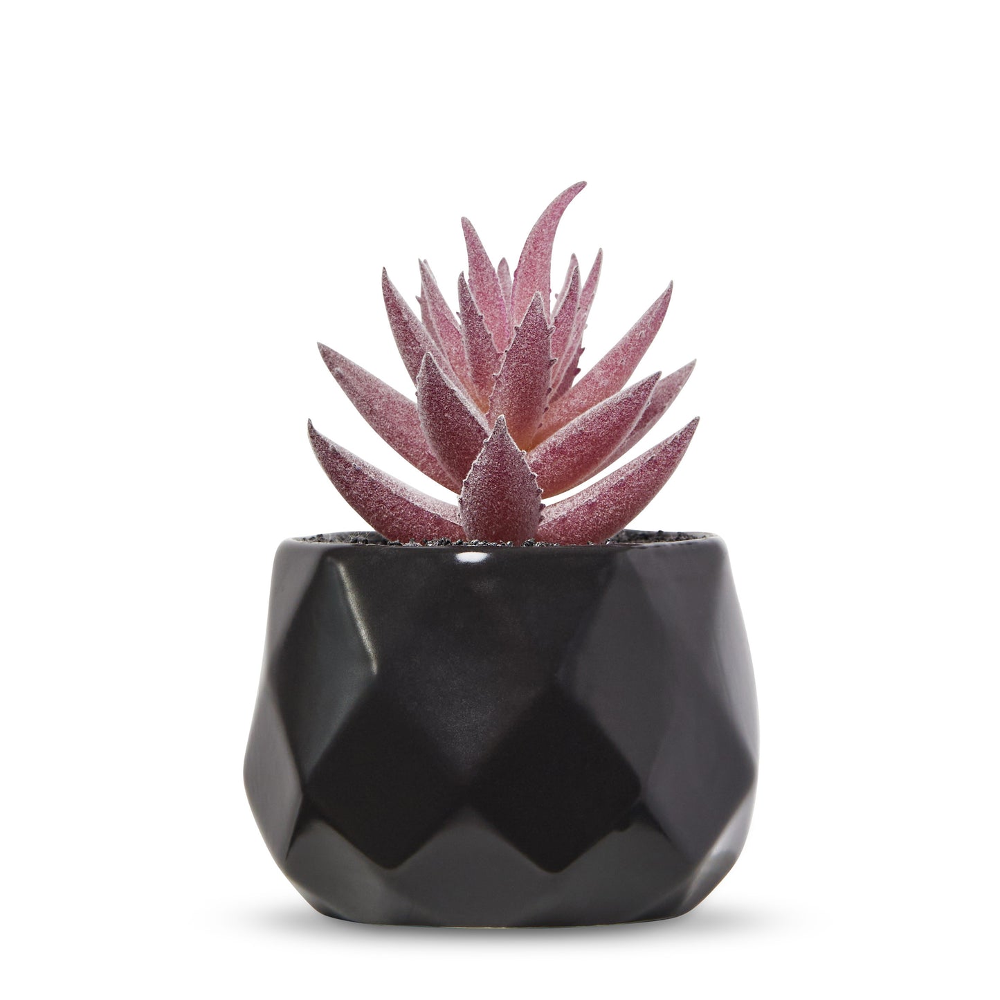 Desk Plants - Geometric Matte Black Pots