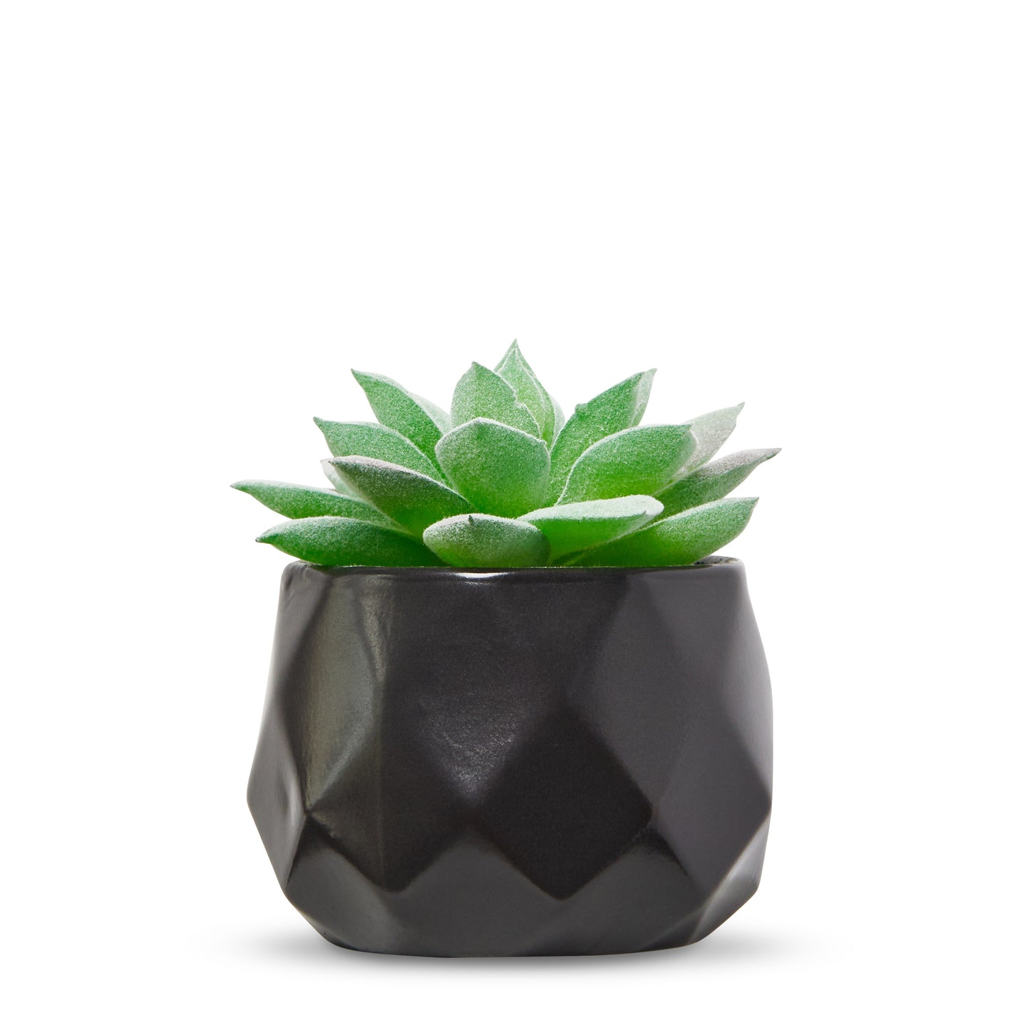 Desk Plants - Geometric Matte Black Pots