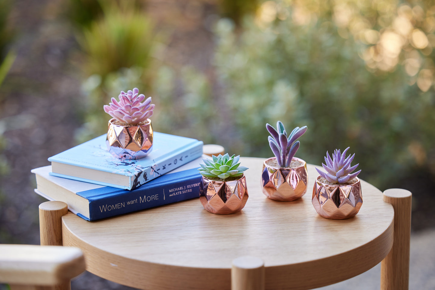 Desk Plants - Ceramic Rose Gold Pots