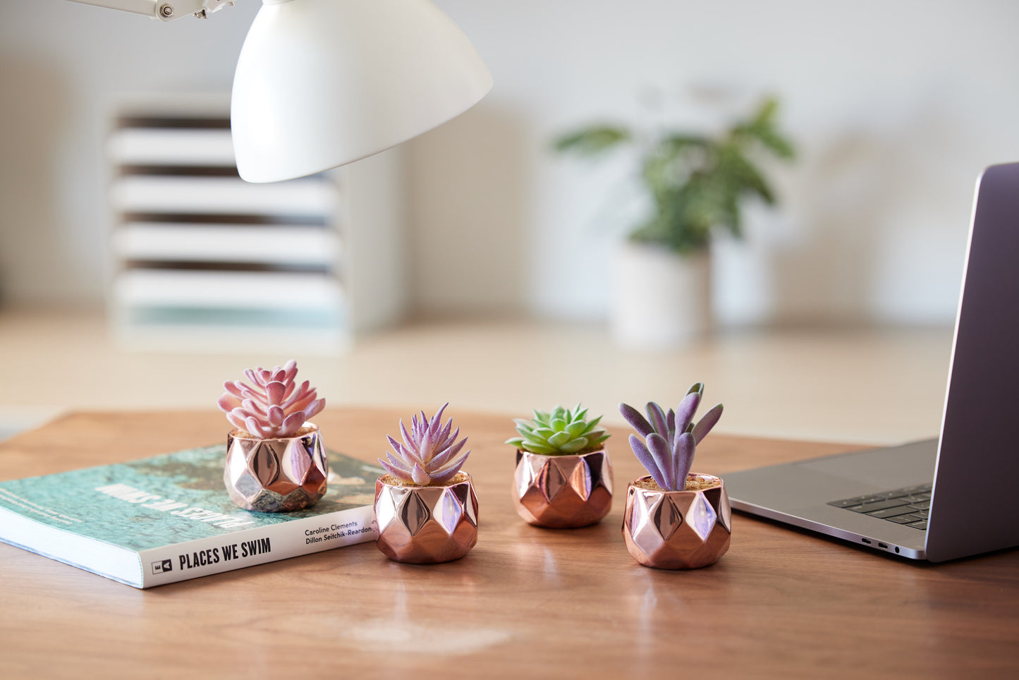 Desk Plants - Ceramic Rose Gold Pots