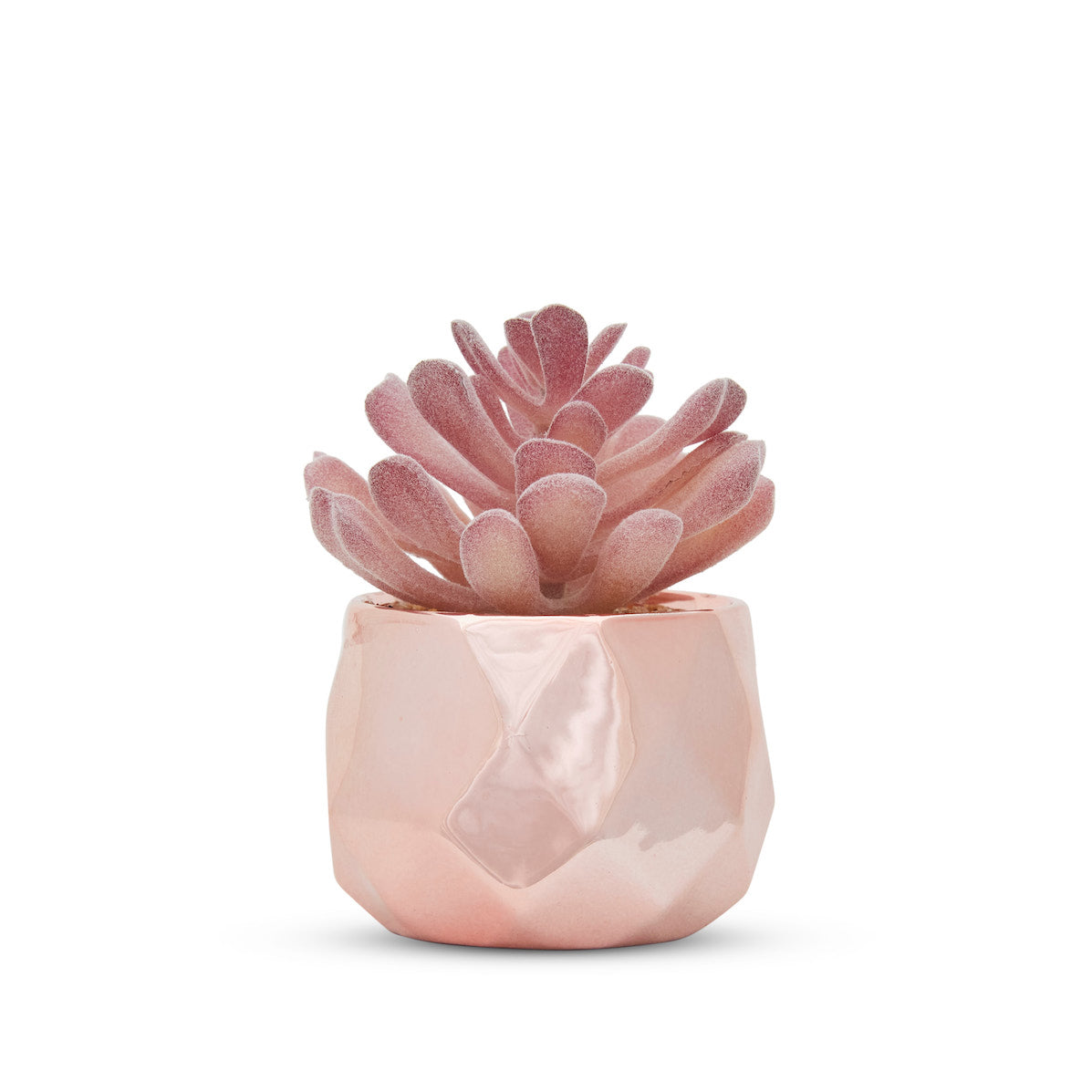 Desk Plants - Ceramic Rose Gold Pots