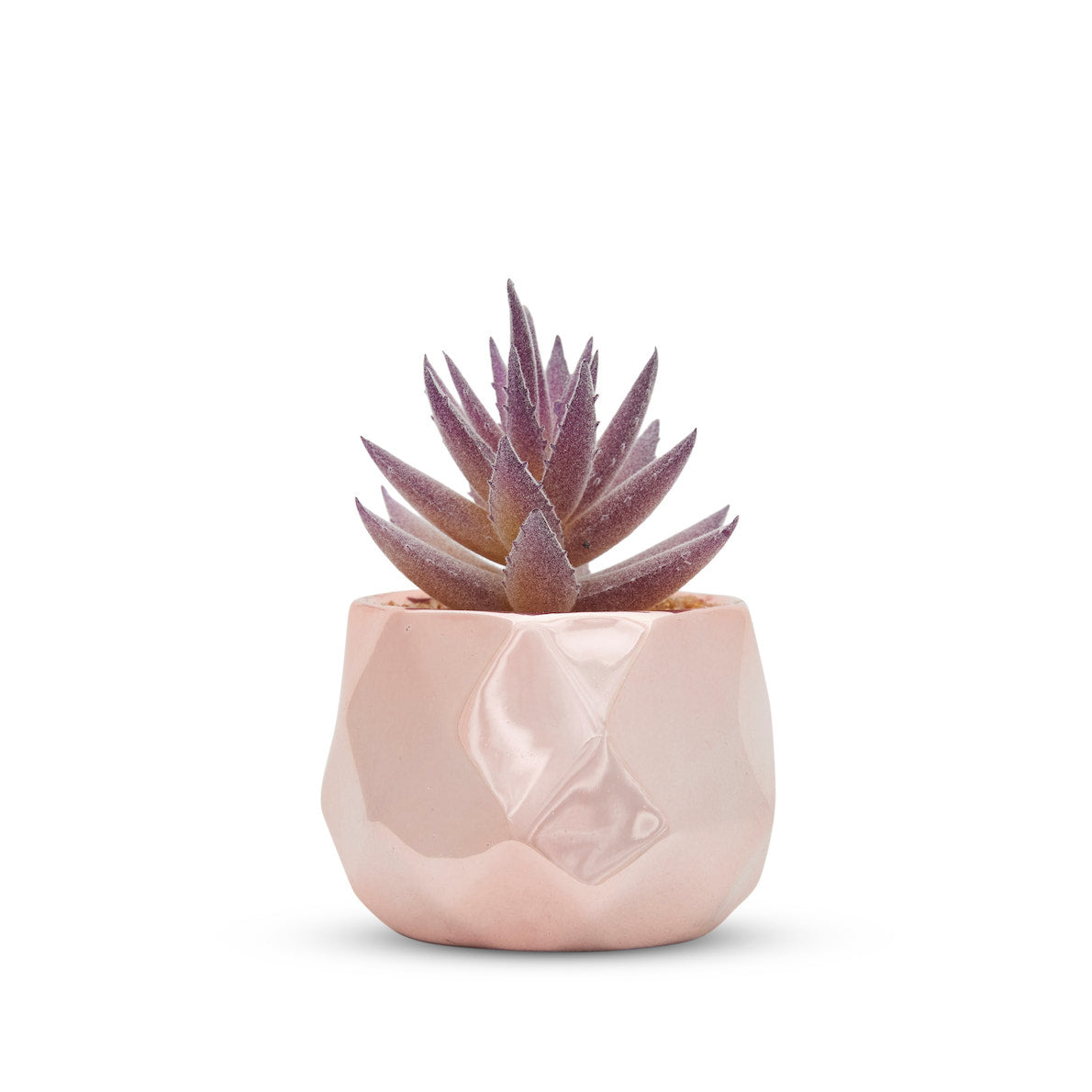 Desk Plants - Ceramic Rose Gold Pots