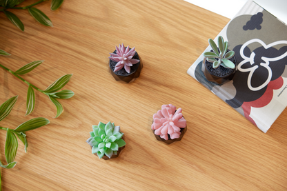 Desk Plants - Geometric Matte Black Pots