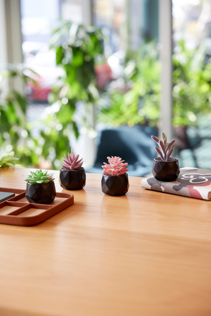 Desk Plants - Geometric Matte Black Pots