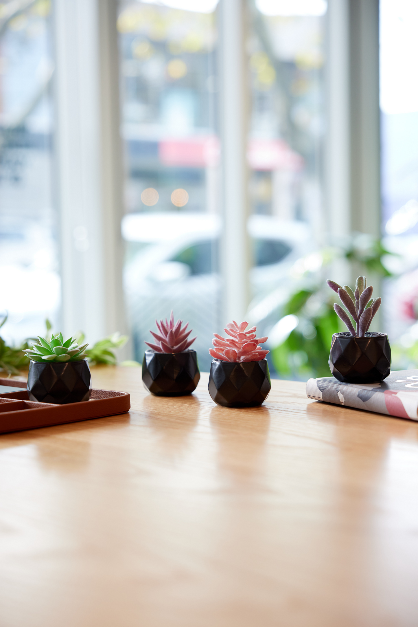 Desk Plants - Geometric Matte Black Pots