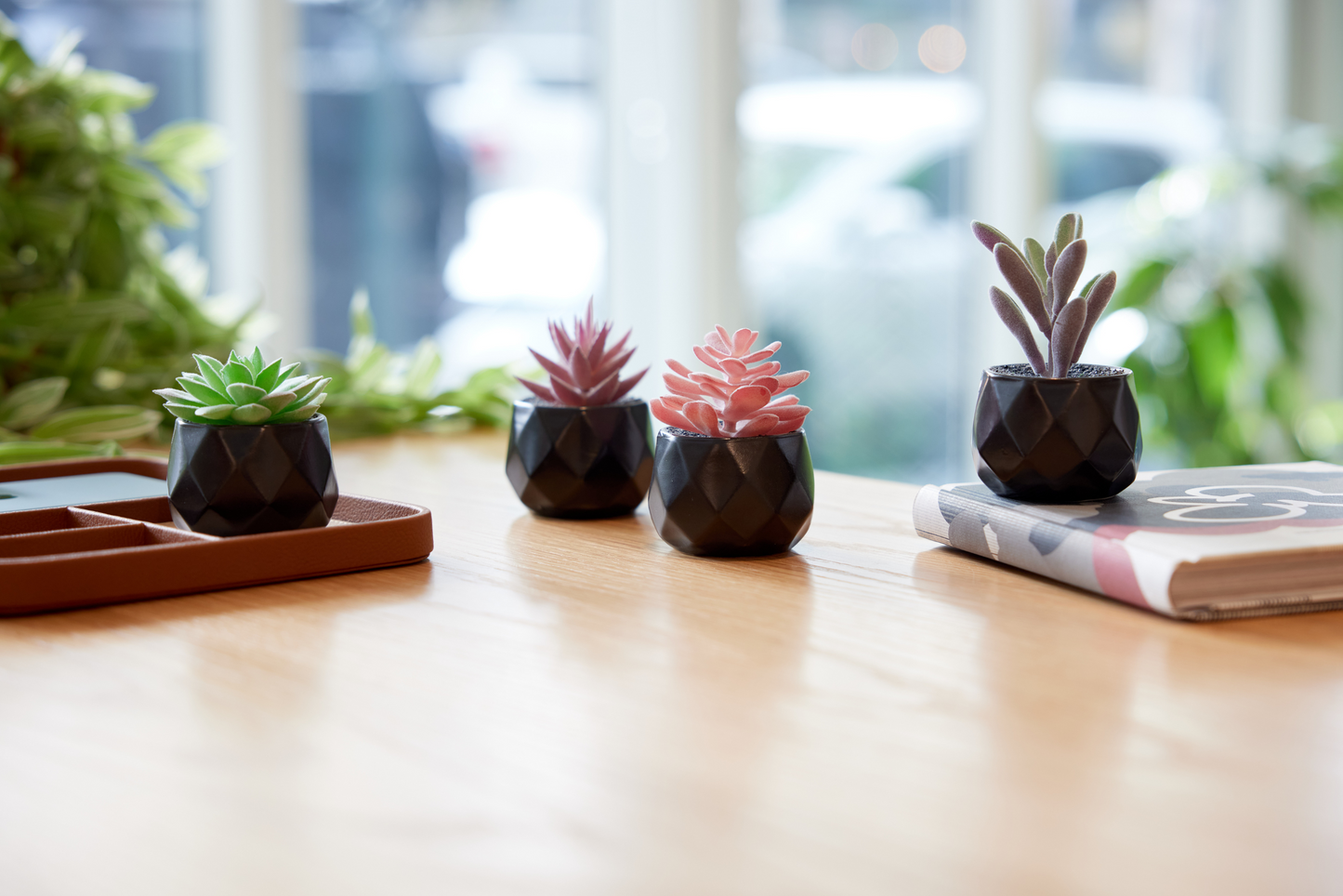Desk Plants - Geometric Matte Black Pots
