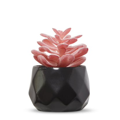 Desk Plants - Geometric Matte Black Pots
