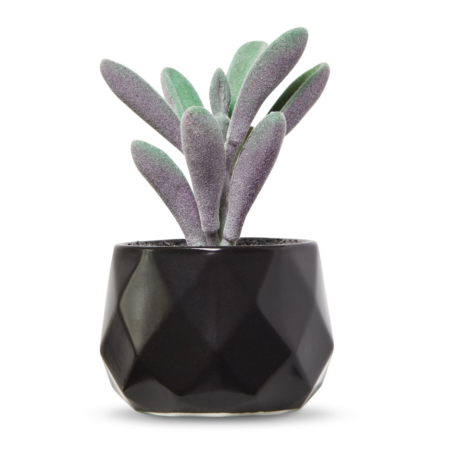 Desk Plants - Geometric Matte Black Pots