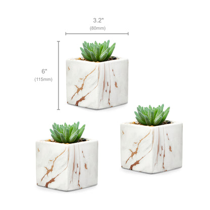 Desk Plants - Square Pots with Marble & Gold Vein
