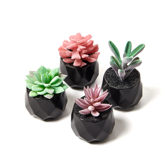 Desk Plants - Geometric Matte Black Pots