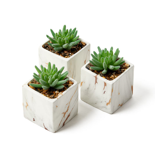 Desk Plants - Square Pots with Marble & Gold Vein