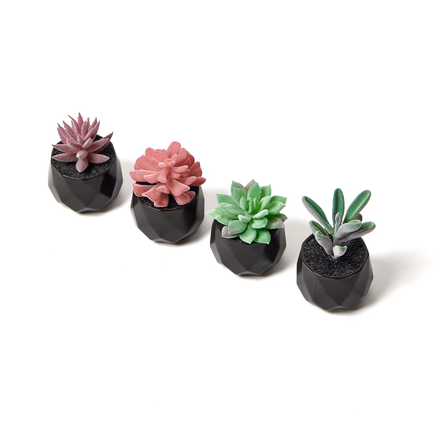 Desk Plants - Geometric Matte Black Pots