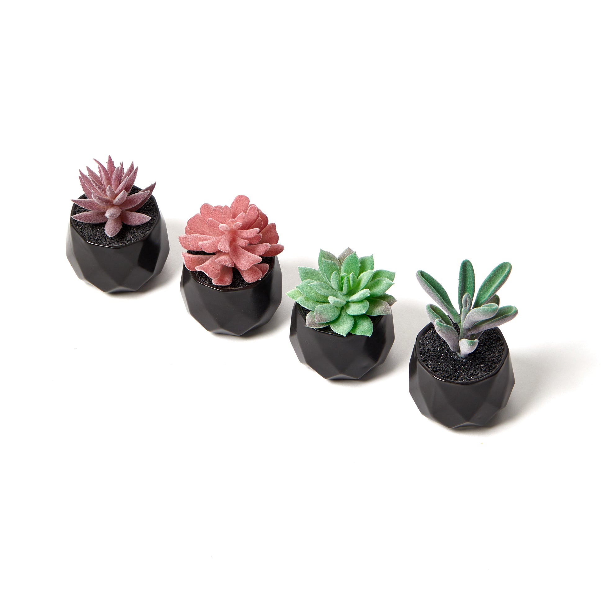 fake black succulents Desk Plants
