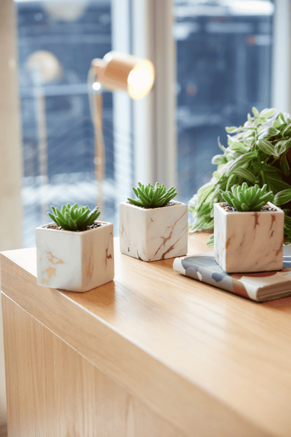 Desk Plants - Square Pots with Marble & Gold Vein