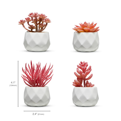 Pink Desk Plants in Ceramic White Pots
