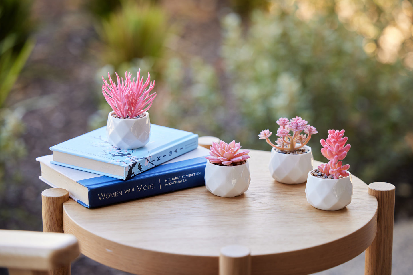 Pink Desk Plants in Ceramic White Pots