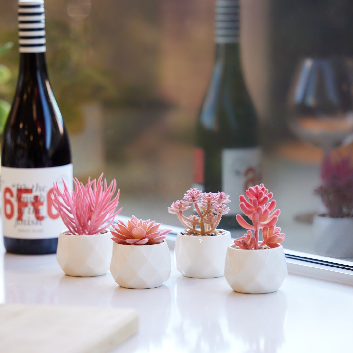 Pink Desk Plants in Ceramic White Pots