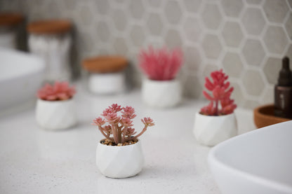 Pink Desk Plants in Ceramic White Pots