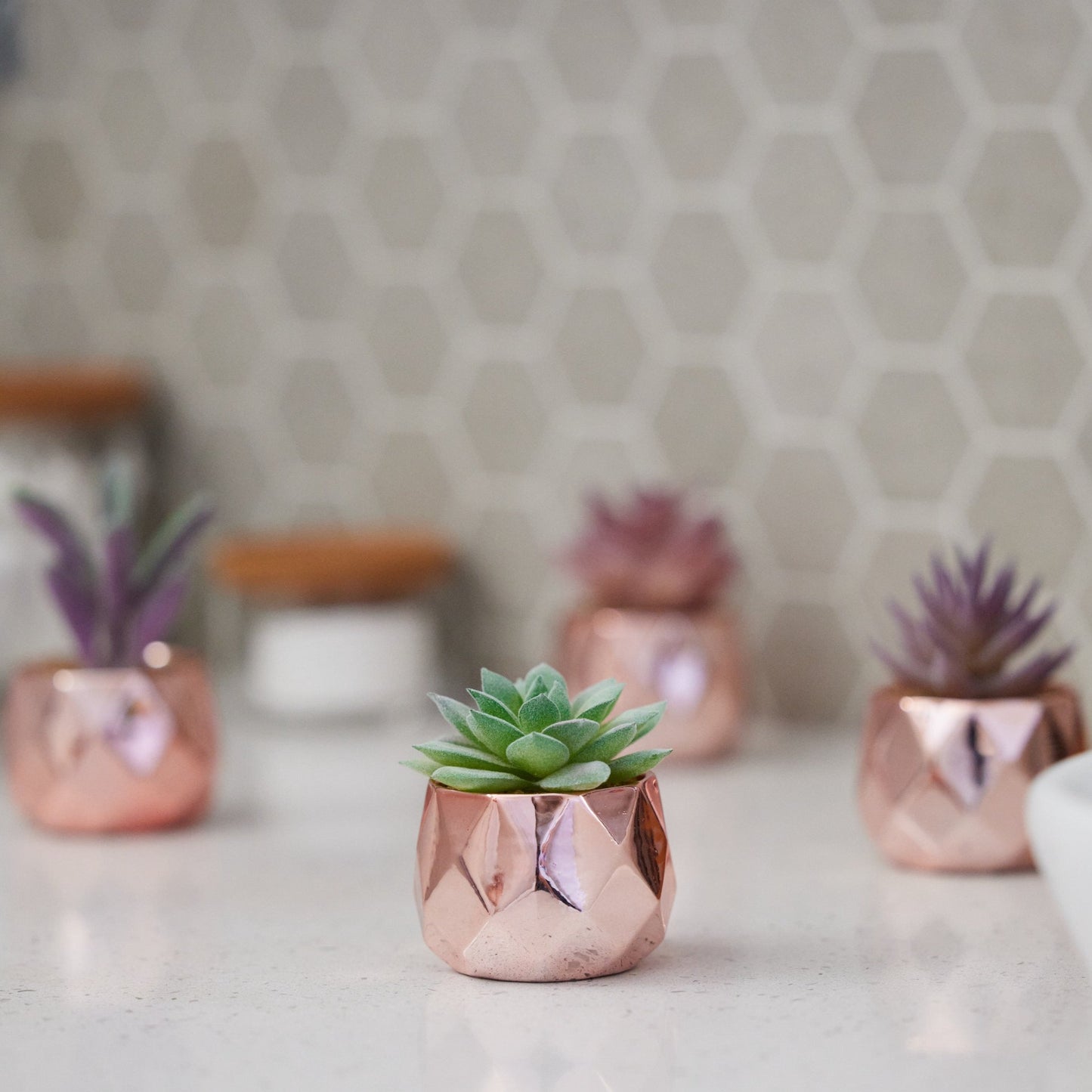 Desk Plants - Ceramic Rose Gold Pots