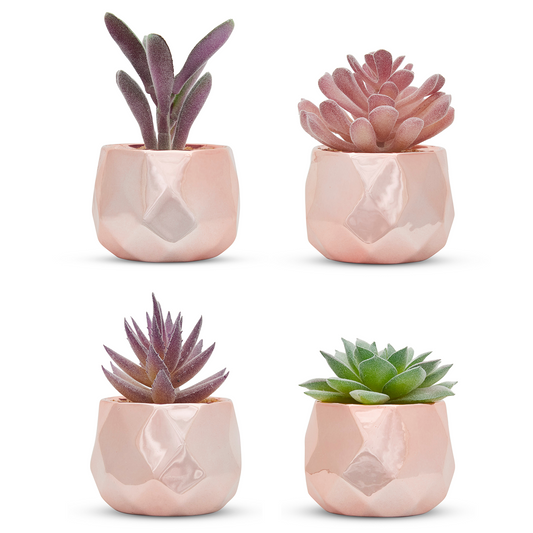 Desk Plants - Ceramic Rose Gold Pots